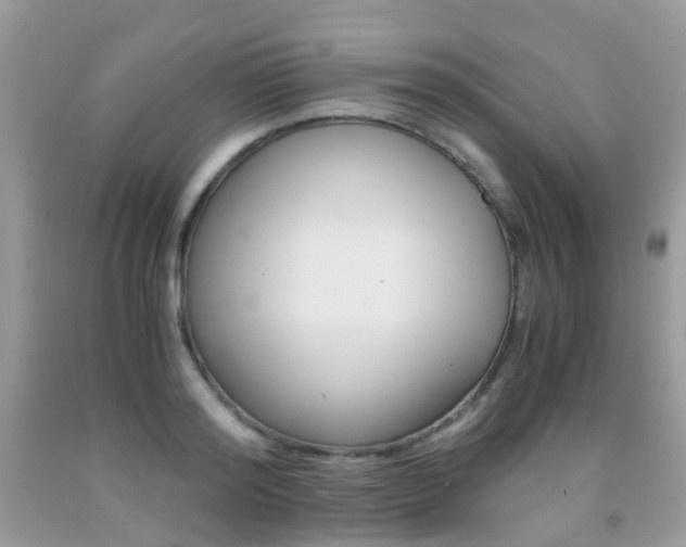 X0000091940796200709051301