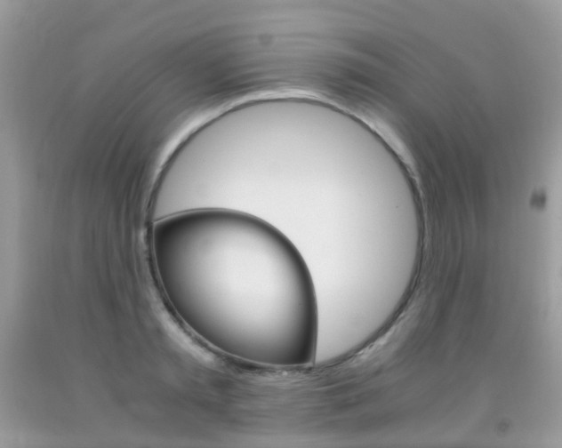X0000091940797200709051301