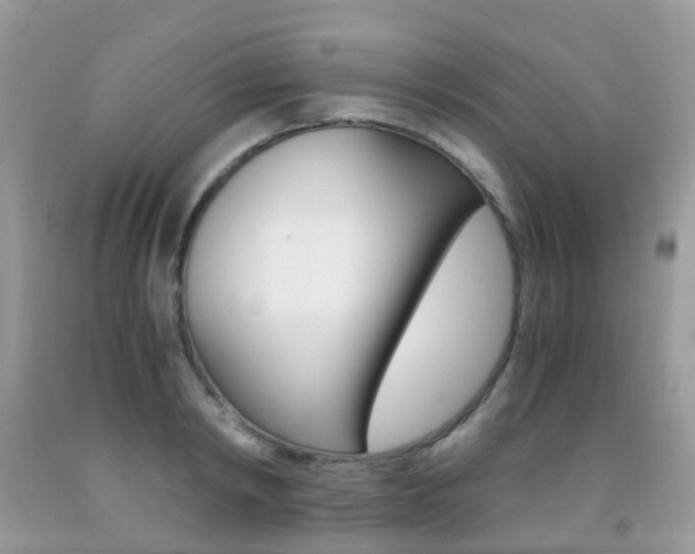 X0000091940798200709051301