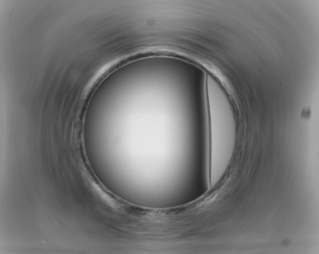 X0000091940799200709051301