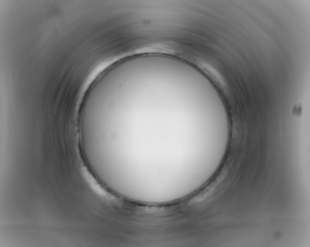 X0000091940800200709051301