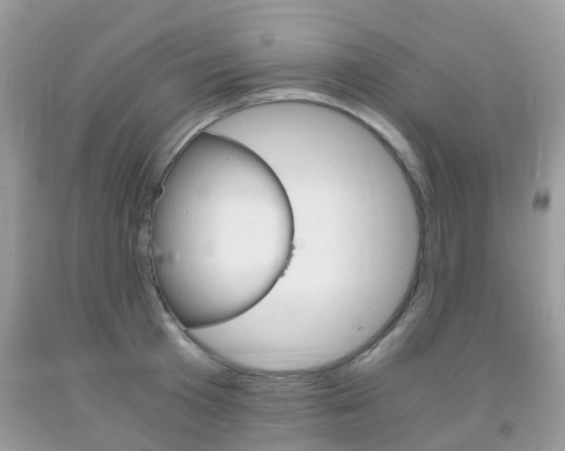 X0000091940801200709051301