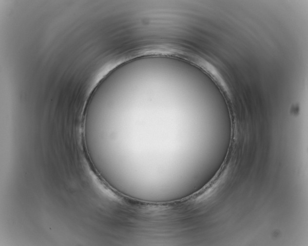 X0000091940802200709051301