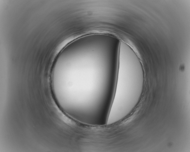 X0000091940803200709051301