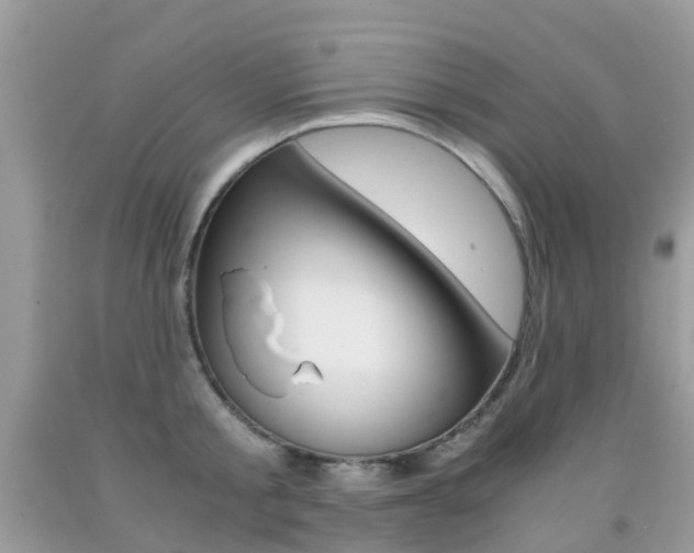 X0000091940805200709051301