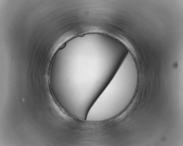 X0000091940806200709051301
