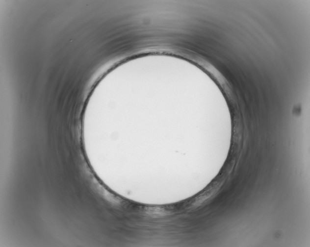 X0000091940807200709051301