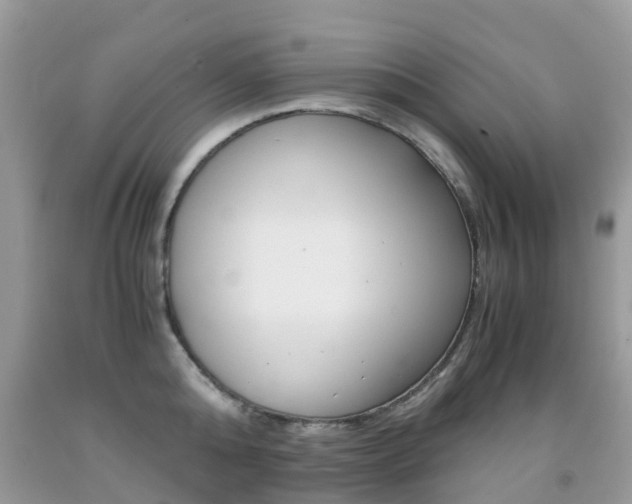 X0000091940808200709051301