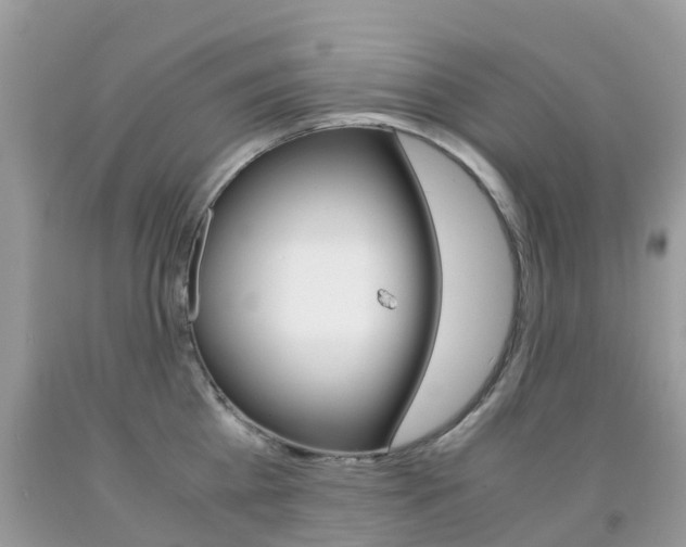 X0000091940809200709051301