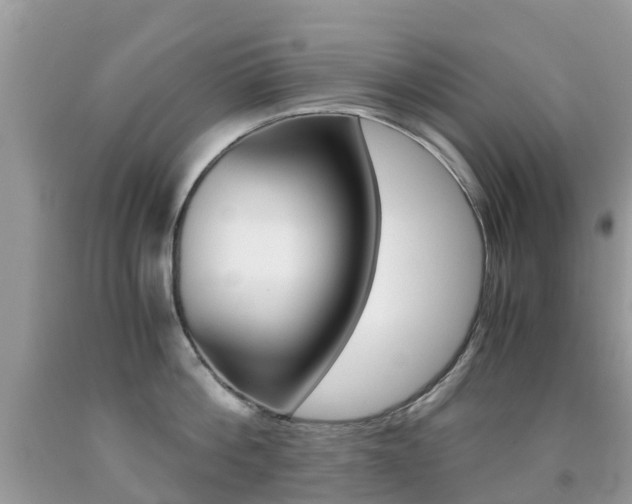 X0000091940812200709051301