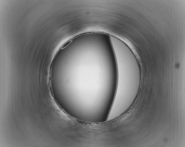 X0000091940815200709051301