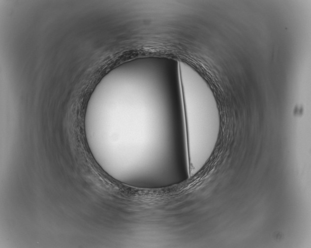 X0000091940817200709051300