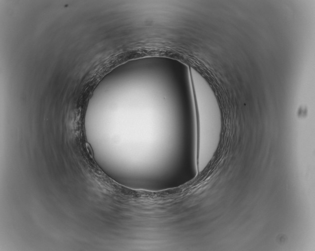 X0000091940818200709051300