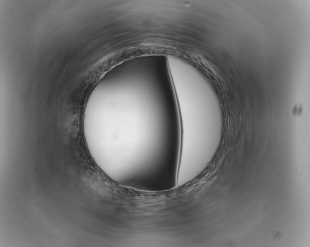 X0000091940821200709051300