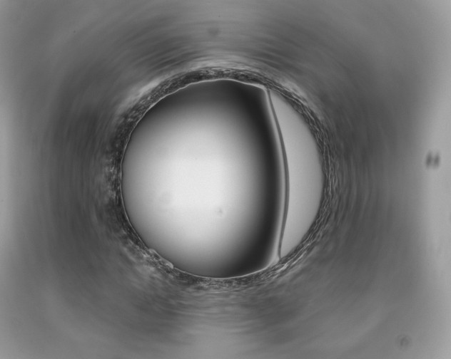 X0000091940822200709051300