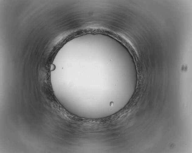 X0000091940823200709051300