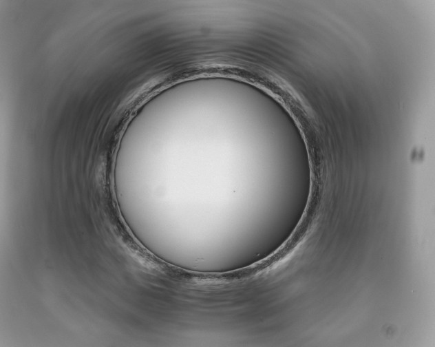 X0000091940825200709051300