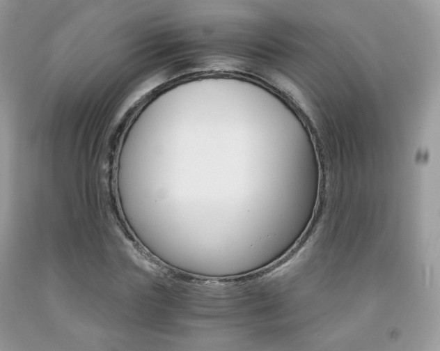 X0000091940827200709051301