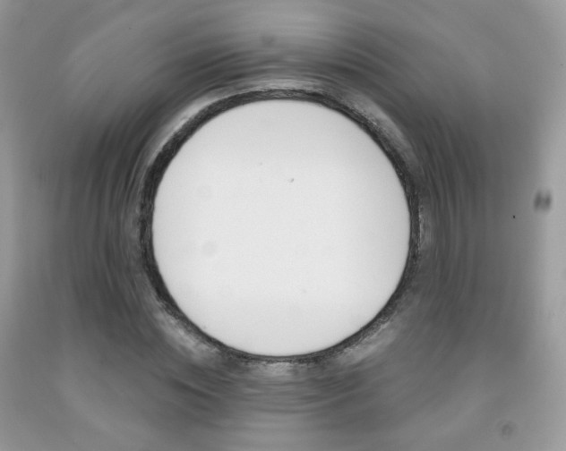 X0000091940828200709051301