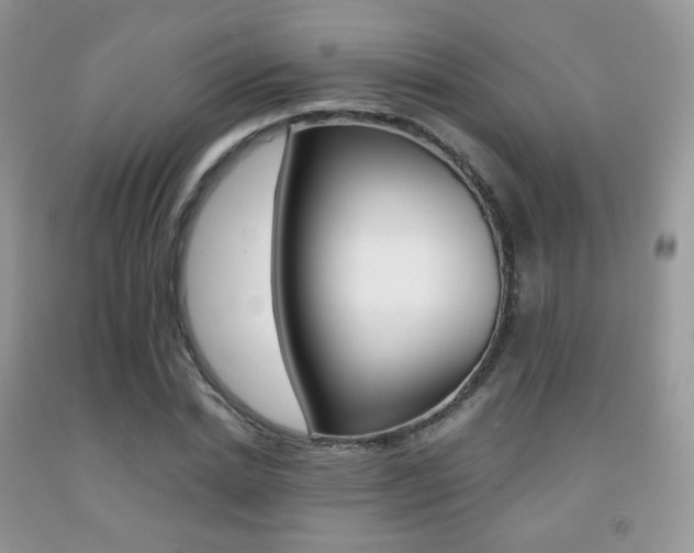 X0000091940830200709051301