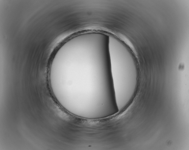 X0000091940831200709051301