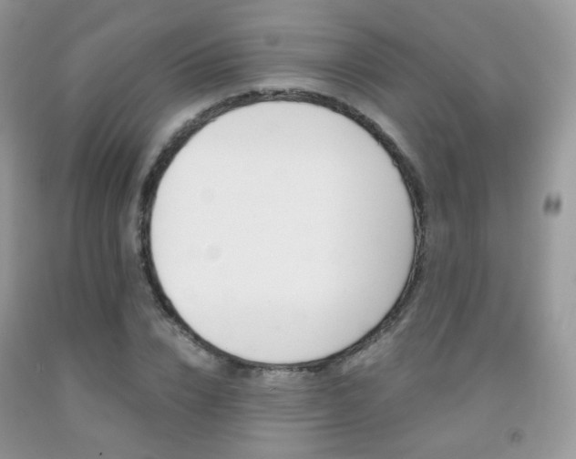 X0000091940832200709051301