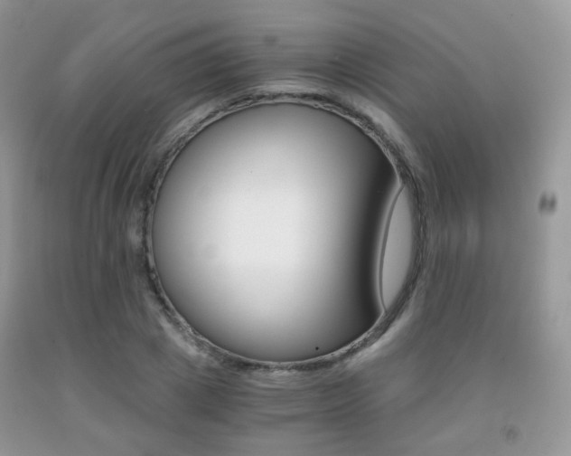 X0000091940833200709051301