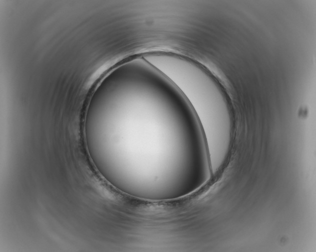 X0000091940834200709051301