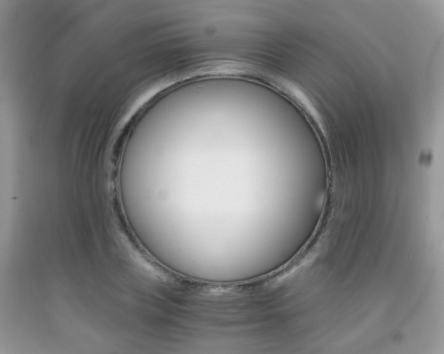 X0000091940835200709051301