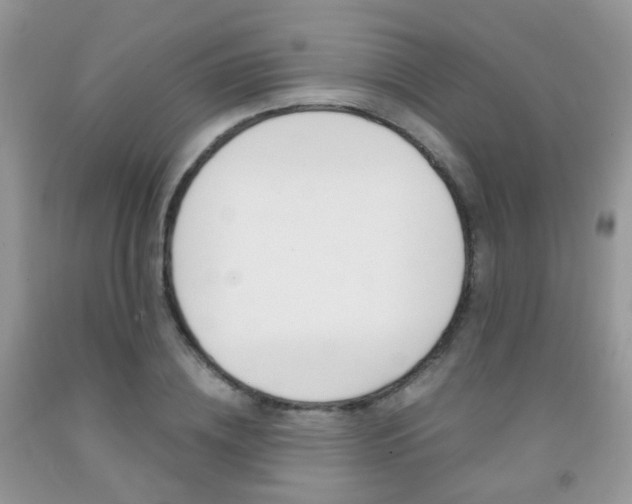 X0000091940836200709051301