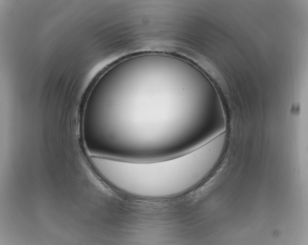 X0000091940838200709051301