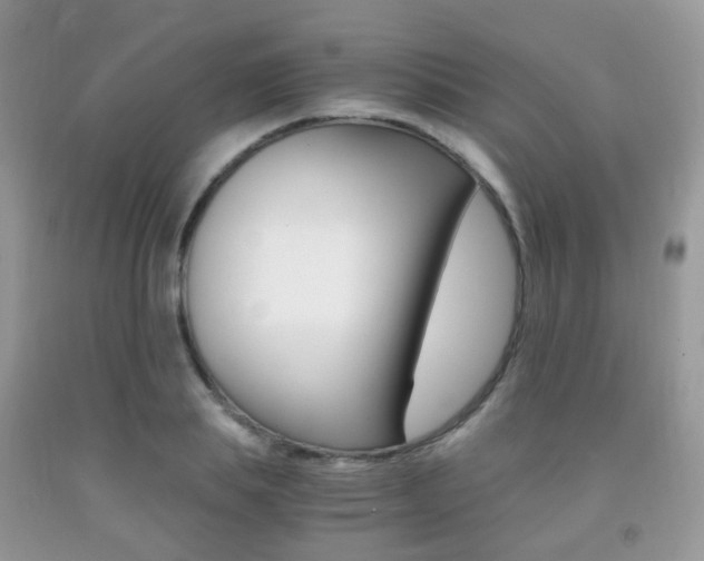 X0000091940839200709051301