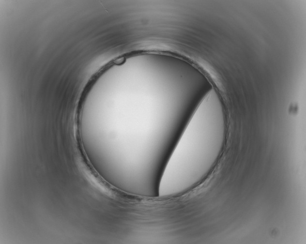 X0000091940840200709051301