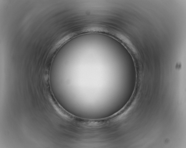X0000091940841200709051301
