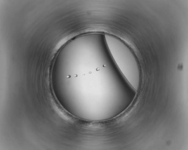 X0000091940842200709051301