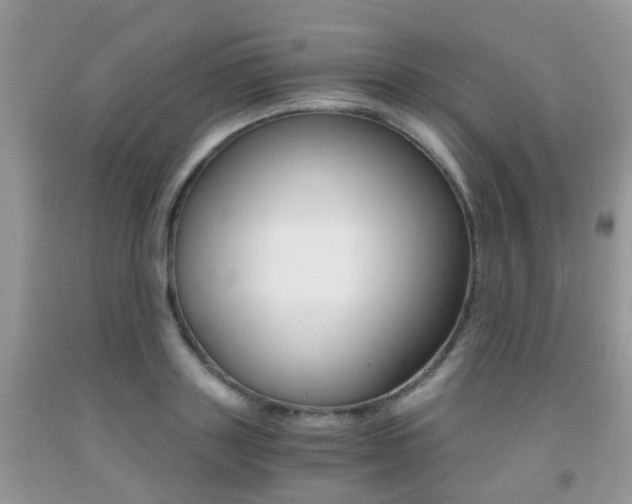 X0000091940843200709051301