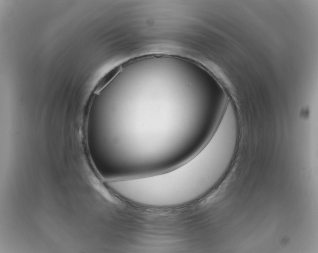 X0000091940846200709051301