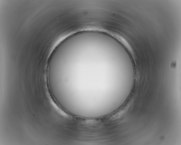 X0000091940847200709051301