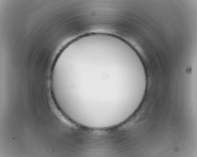 X0000091940848200709051301