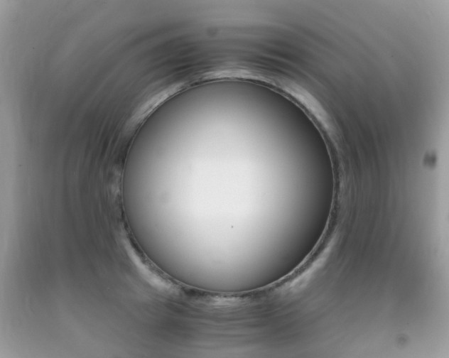 X0000091940849200709051301
