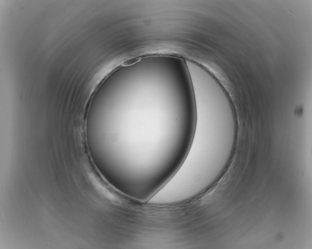 X0000091940850200709051301