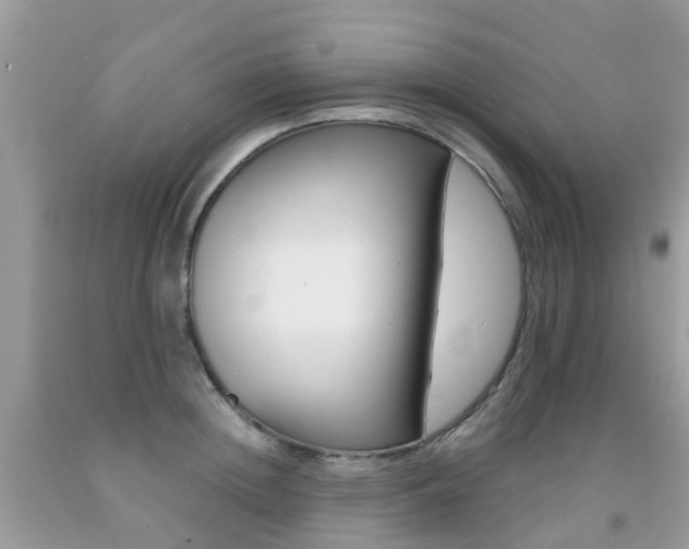 X0000091940852200709051301