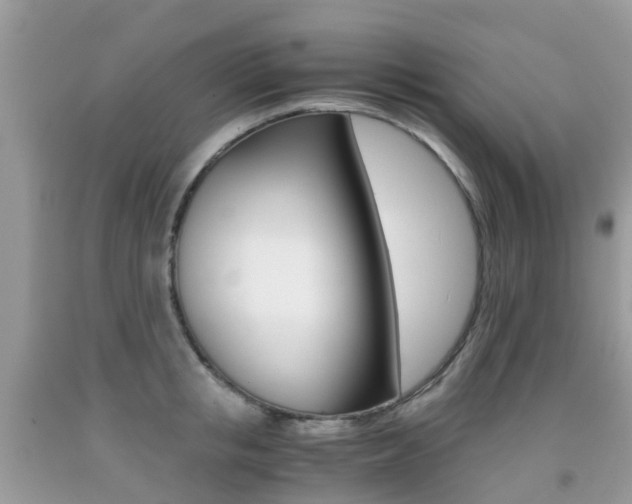 X0000091940853200709051301