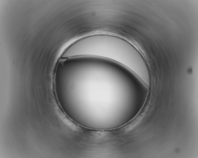 X0000091940854200709051301