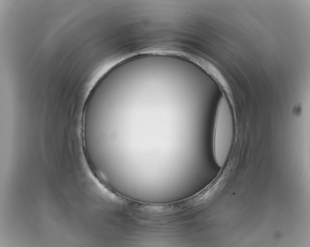 X0000091940855200709051301