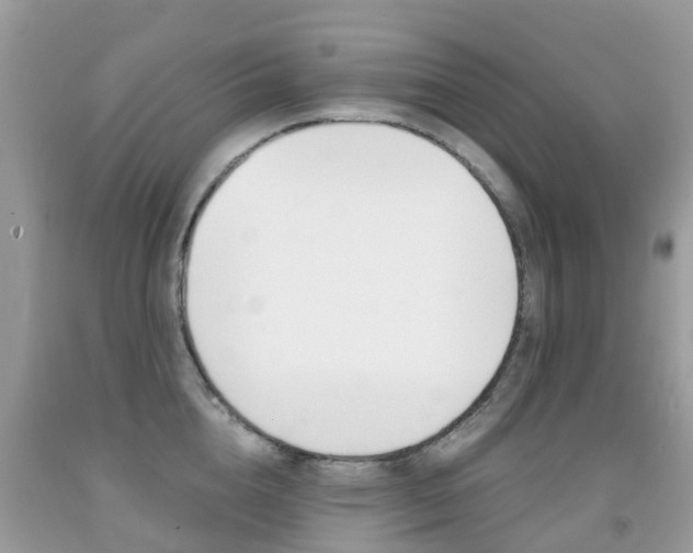 X0000091940856200709051301