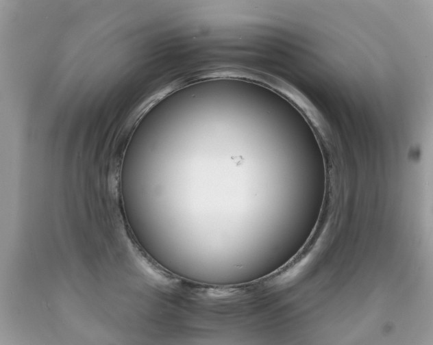 X0000091940857200709051301