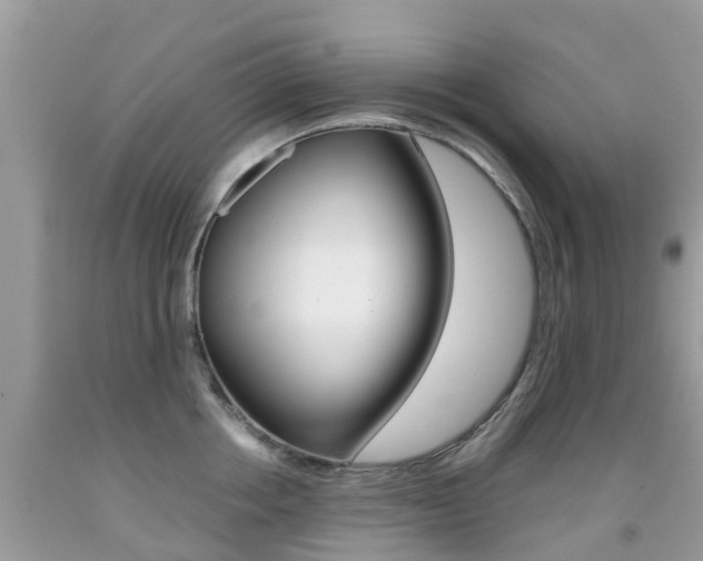 X0000091940858200709051301