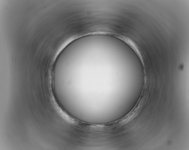 X0000091940859200709051301