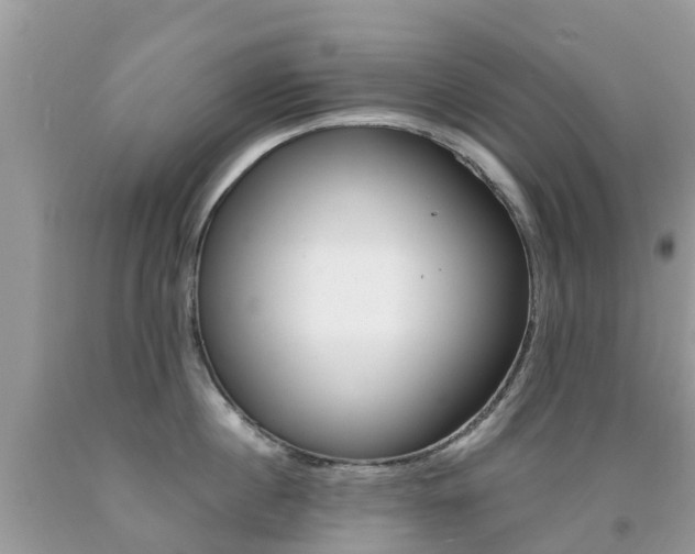 X0000091940860200709051301